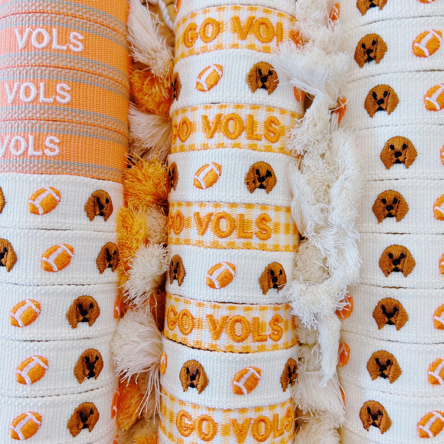 Smokey Tennessee fan