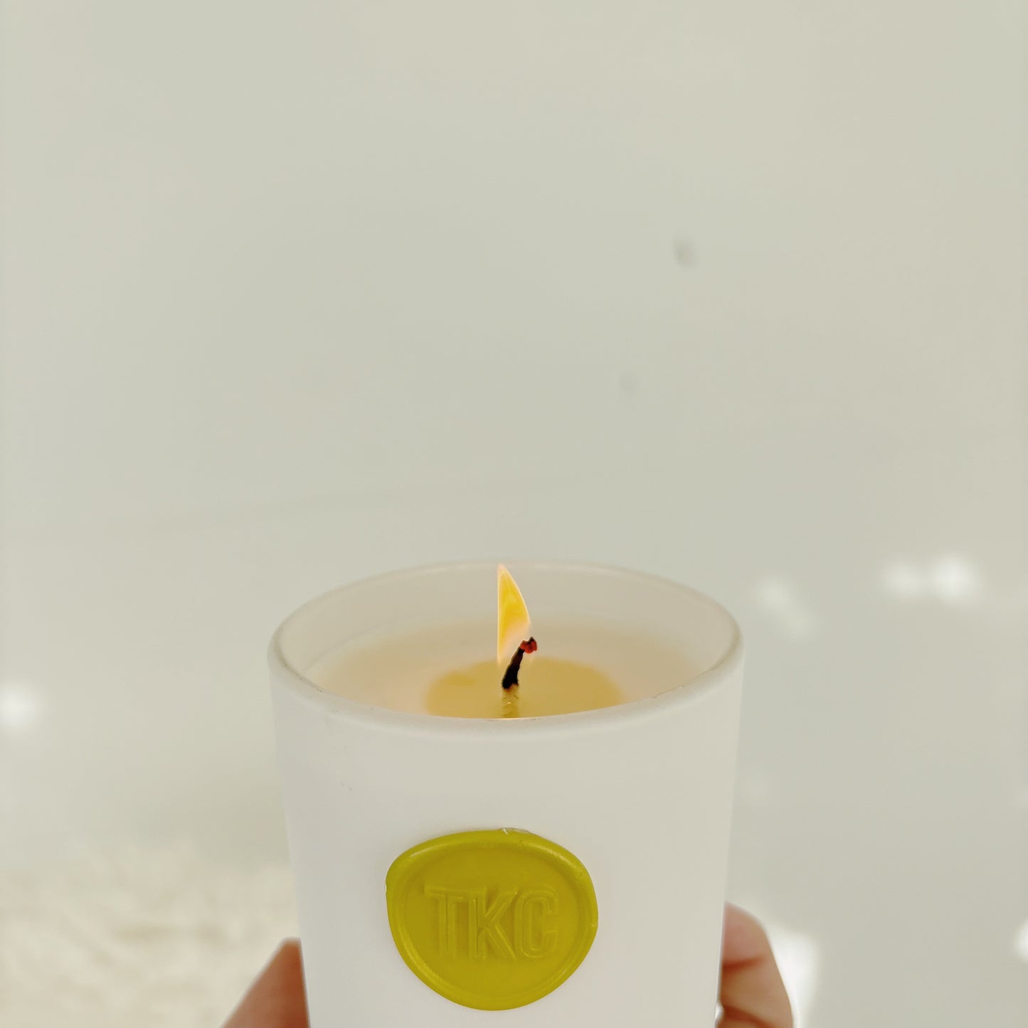 Non-toxic Happy Holiday Candle SOLD OUT 4X this is a pre-order SHIPS DEC 2nd
